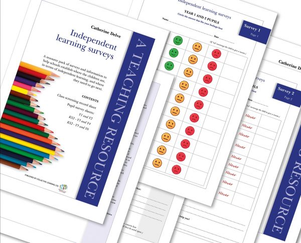 Independent Learning Surveys resource image