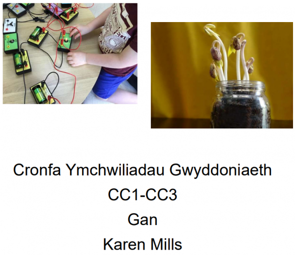 cronfa ymchwiliadau